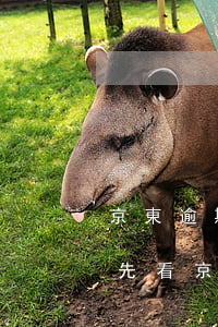 京東逾期多久上征信 最新規(guī)則搶先看（京東逾期征信有問題嗎）