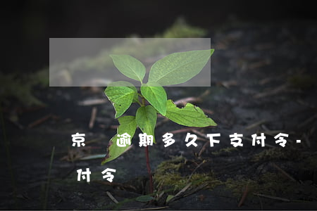 京東逾期多久下支付令-京東逾期多久下支付令