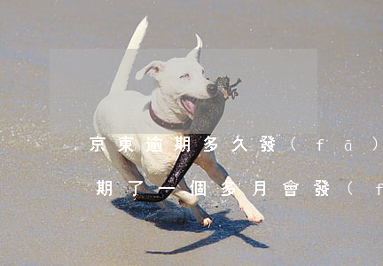 京東逾期多久發(fā)律師函(京東借錢逾期了一個多月會發(fā)律師函嗎?)