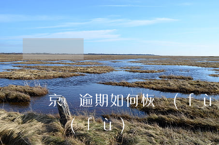 京東逾期如何恢復(fù)(京東逾期如何恢復(fù))