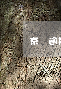 京東逾期官司勝訴(京東多久起訴)