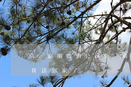 京東逾期寄到公司(京東逾期1年多快遞你給我送到家了)