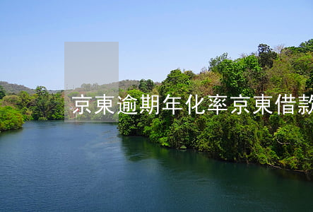 京東逾期年化率(京東借款年化利率)