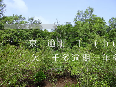 京東逾期幾千會(huì)上門嗎 京東金融欠兩千多逾期一年多會(huì)被上門嗎