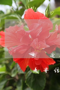 京東逾期幾天(京東逾期幾天說(shuō)是寄信函,寄到哪里了)