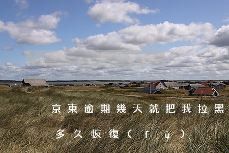京東逾期幾天就把我拉黑了(京東賬號拉黑后多久恢復(fù))