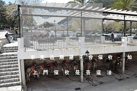 京東逾期幾天會催收-如果欠京東錢,逾期了,上門催收,是否違法
