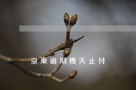 京東逾期幾天止付