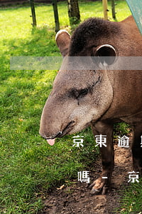 京東逾期幾天還進(jìn)去還能借出來嗎-京東逾期幾天還進(jìn)去還能借出來嗎安全嗎