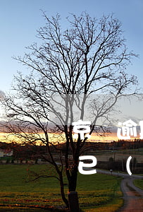 京東逾期幾百塊錢(京東逾期多少天會起訴,我已經(jīng)還了2000多)