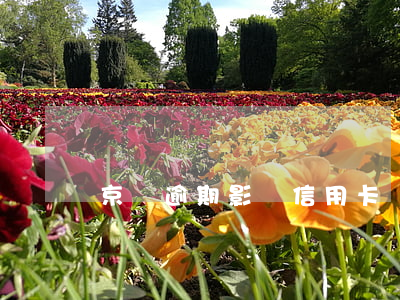 京東逾期影響信用卡嗎