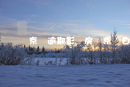 京東逾期影響房貸(京東白條逾期影響房貸)