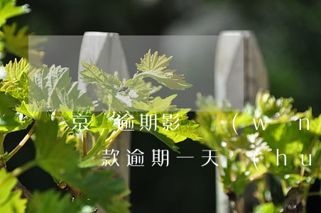 京東逾期影響網(wǎng)貸嗎(京東金融還款逾期一天會(huì)不會(huì)影響征信?)