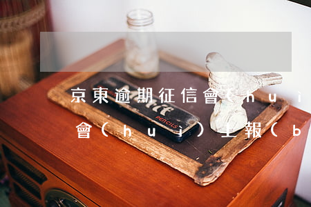 京東逾期征信會(huì)失信嗎(京東逾期會(huì)上報(bào)影響征信么,不是故意的)