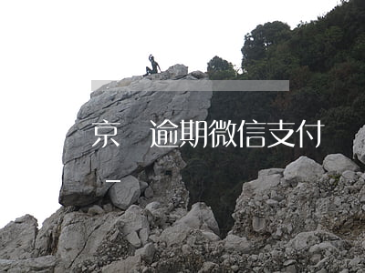 京東逾期微信支付凍結(jié)怎么解除-