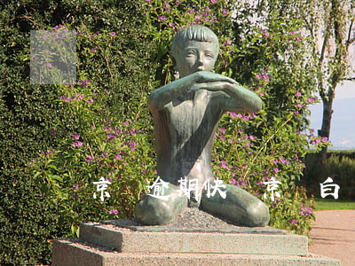京東逾期快遞(京東白條逾期寄快遞之后)