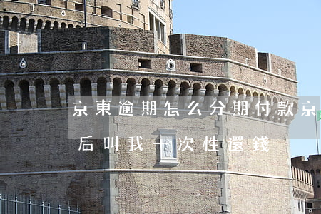 京東逾期怎么分期付款(京東分期還款逾期之后,叫我一次性還錢)