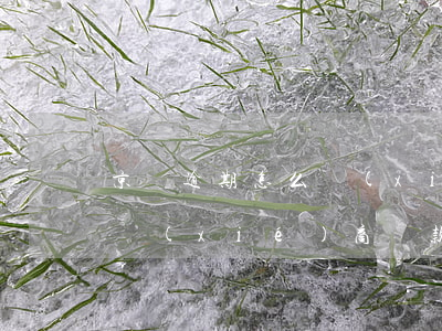 京東逾期怎么協(xié)商還錢(京東如何協(xié)商還款)