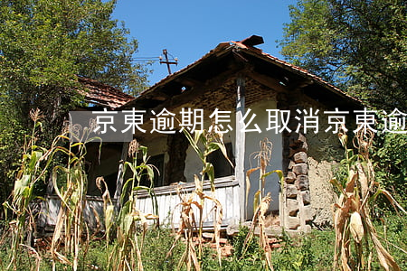 京東逾期怎么取消(京東逾期怎么取消)