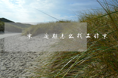 京東逾期怎么找工作(京東逾期怎么找工作)
