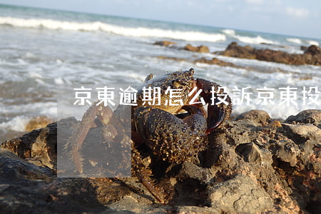 京東逾期怎么投訴(京東投訴舉報)