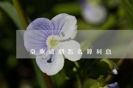 京東逾期怎么算利息