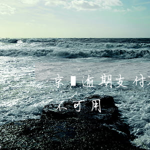 京東逾期支付不能用了(京東提示京東支付暫不可用)
