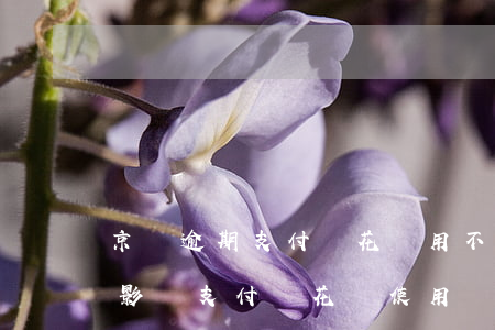 京東逾期支付寶花唄用不了 京東金融逾期會影響支付寶花唄使用嗎