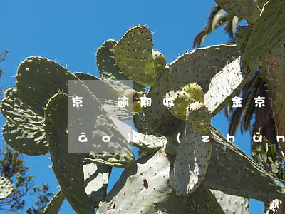 京東逾期收違約金(京東違約金賠償標(biāo)準(zhǔn))
