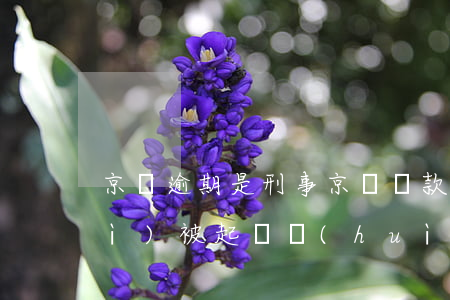 京東逾期是刑事(京東貸款逾期多久會(huì)被起訴會(huì)有什么后果)