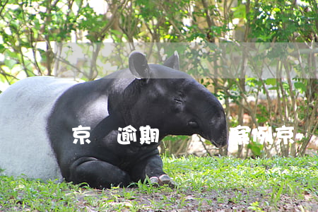 京東逾期時間長案例(京東逾期時間長案例)