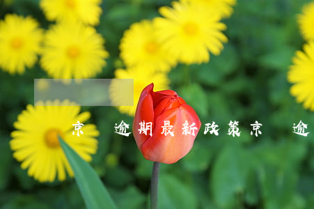 京東逾期最新政策（京東逾期最新政策）