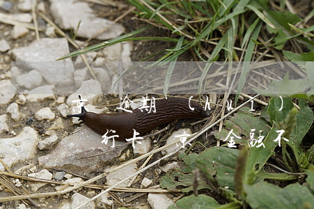 京東逾期會(huì)凍結(jié)名下銀行卡嗎(京東金融不還款會(huì)凍結(jié)名下銀行卡嗎)