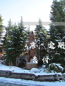 京東逾期會(huì)凍結(jié)微信支付寶