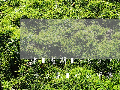 京東逾期會(huì)影響活力花嗎-京東活力花為什么下架了