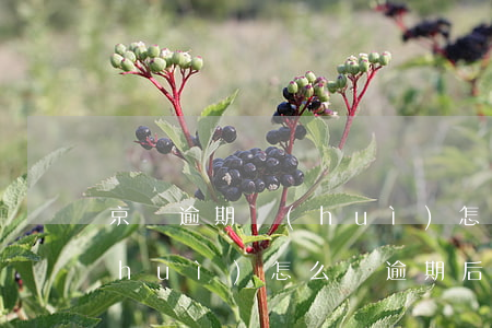 京東逾期會(huì)怎么樣 京東逾期會(huì)怎么樣?逾期后果嚴(yán)重嗎?