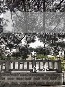 京東逾期會(huì)被凍結(jié)微信零錢嗎