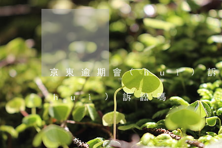 京東逾期會(huì)訴訟嗎(京東逾期會(huì)訴訟嗎)