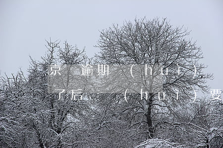 京東逾期會(huì)還多少錢(京東逾期還了后還會(huì)要求全額還清嗎)