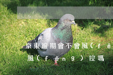 京東逾期會不會風(fēng)控-京東有風(fēng)控嗎