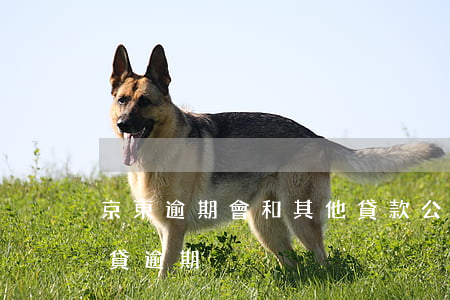京東逾期會和其他貸款公司一樣催收（京東快貸逾期）