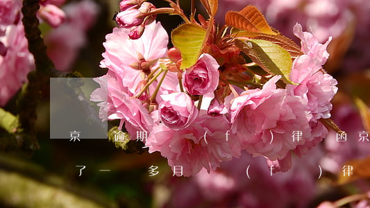京東逾期會發(fā)律師函(京東借錢逾期了一個多月會發(fā)律師函嗎?)