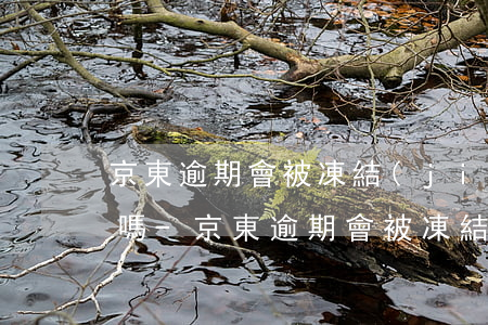 京東逾期會被凍結(jié)銀行卡和微信嗎-京東逾期會被凍結(jié)銀行卡和微信嗎安全嗎