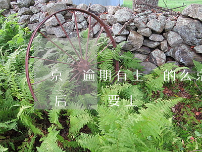 京東逾期有上門的么(京東逾期了,逾期還上之后,還說要上門)