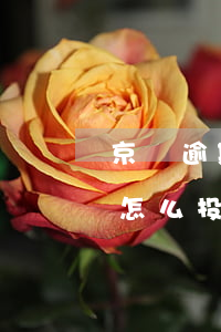 京東逾期未送貨怎么投訴-京東逾期未送貨怎么投訴