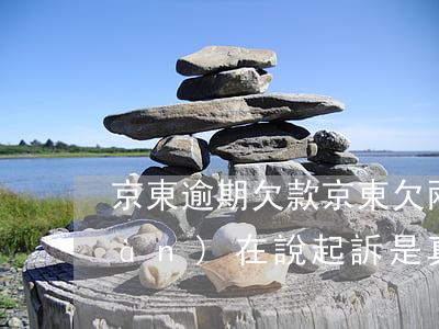 京東逾期欠款(京東欠兩千逾期半年現(xiàn)在說起訴是真的嗎)