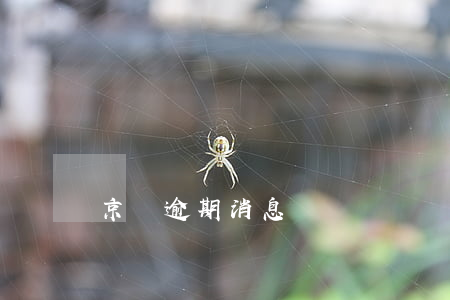 京東逾期消息