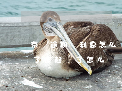 京東逾期漲利息怎么凍結(京東金融逾期一年了,被起訴了怎么辦)