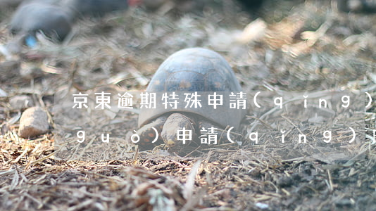 京東逾期特殊申請(qǐng)(京東超過(guò)申請(qǐng)時(shí)效)