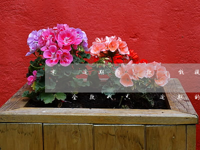 京東逾期狗還款還能提額嗎(京東逾期了要求還全款,我只還逾期的可以嗎)